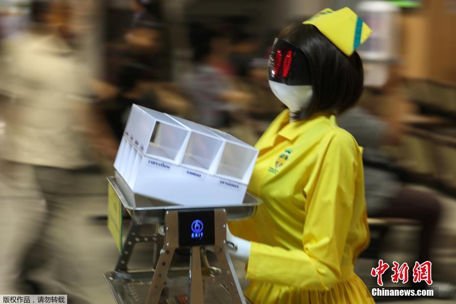 南阳职业学院2026年高职单招考试内容