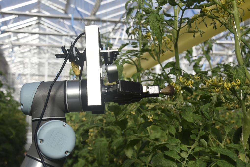 南阳职业学院2026年单独考试招生章程